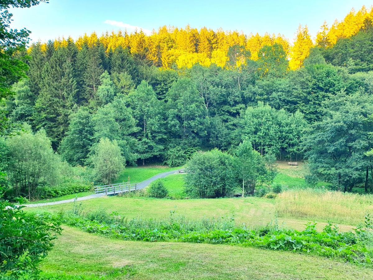 Ferienhaus Familienparadies: Indoor-Spielplatz, Pool und Sauna für 18 Personen Schmallenberg Exterior photo