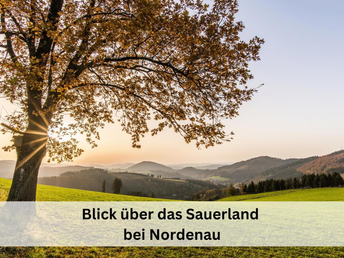 Ferienhaus Familienparadies: Indoor-Spielplatz, Pool und Sauna für 18 Personen Schmallenberg Exterior photo